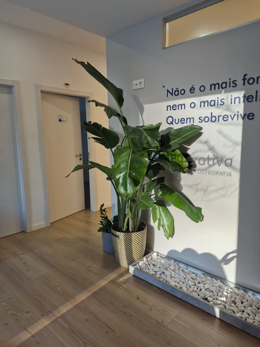 David Brandão – Osteopata e Fisioterapeuta | Belém, Lisboa — Fisioterapeutas em Lisboa — 3