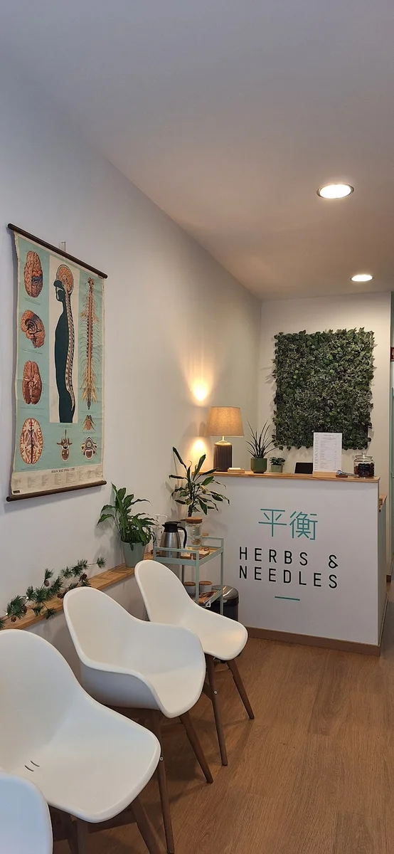 Clínica Herbs & Needles, Medicina Tradicional Chinesa e Osteopatia — Osteopaths em Lisbon — 2